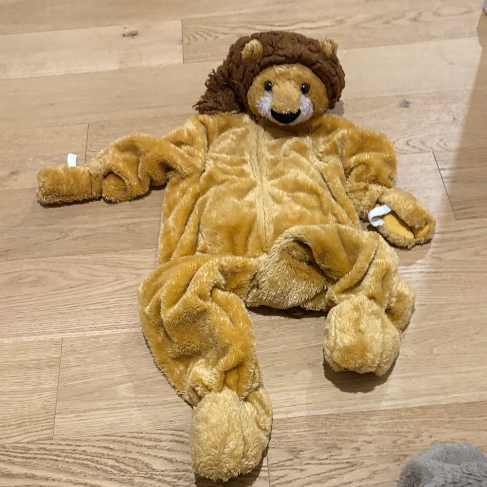 Adorable Lion Costume for Kids